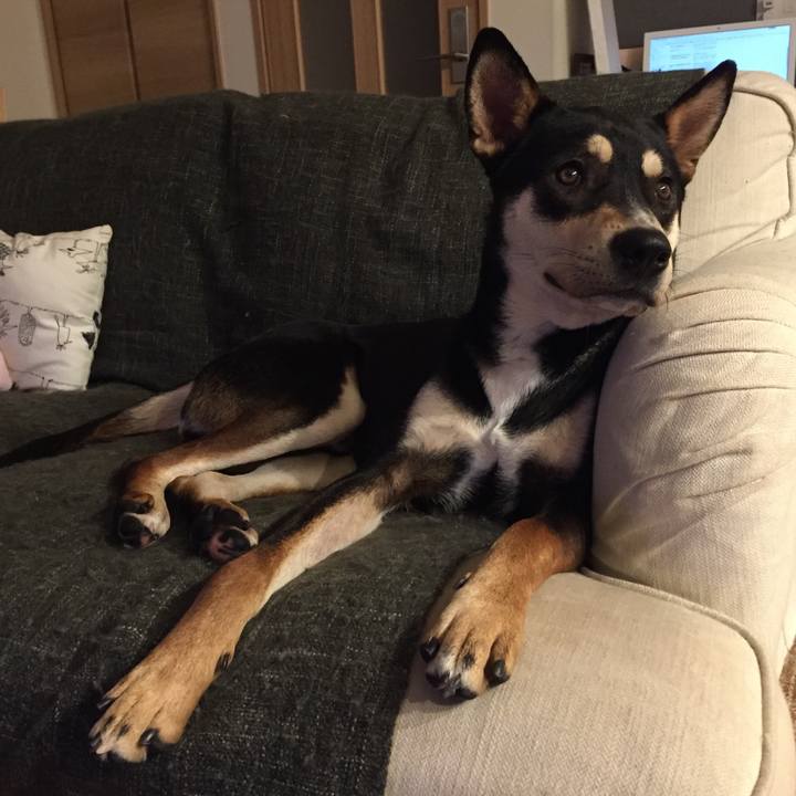 6f5bb658 96c8 40e6 923c f8e64acd423c