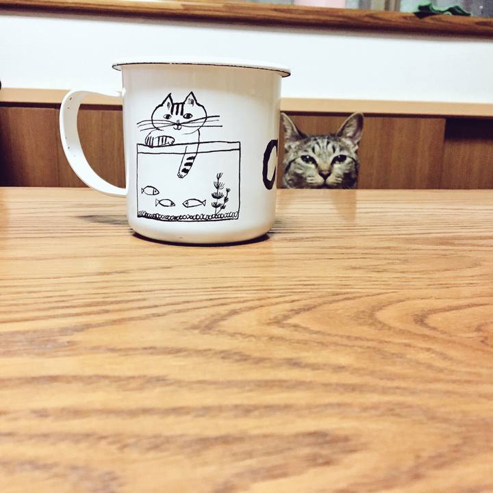 6f5bcef7 017c 4b77 b109 7bd67ecb58e5