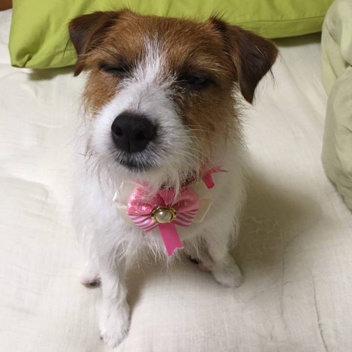 6f5c25bc c984 4985 b7e8 0ae0484022e0