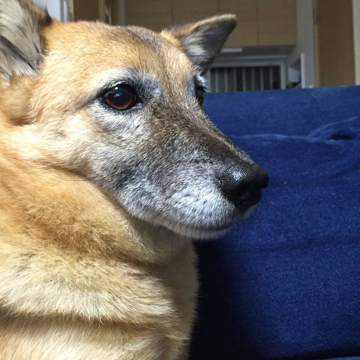 6f5d2f38 0907 4a2f 9e29 fe2933e18873