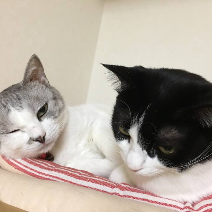 6f5d9122 c10f 453c 8f7f 50e86b379cb0