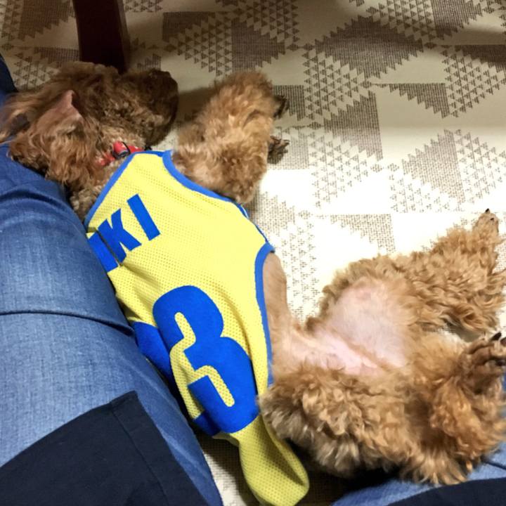 6f5e694e ec7d 46ba a8e9 8de1db54b6c3