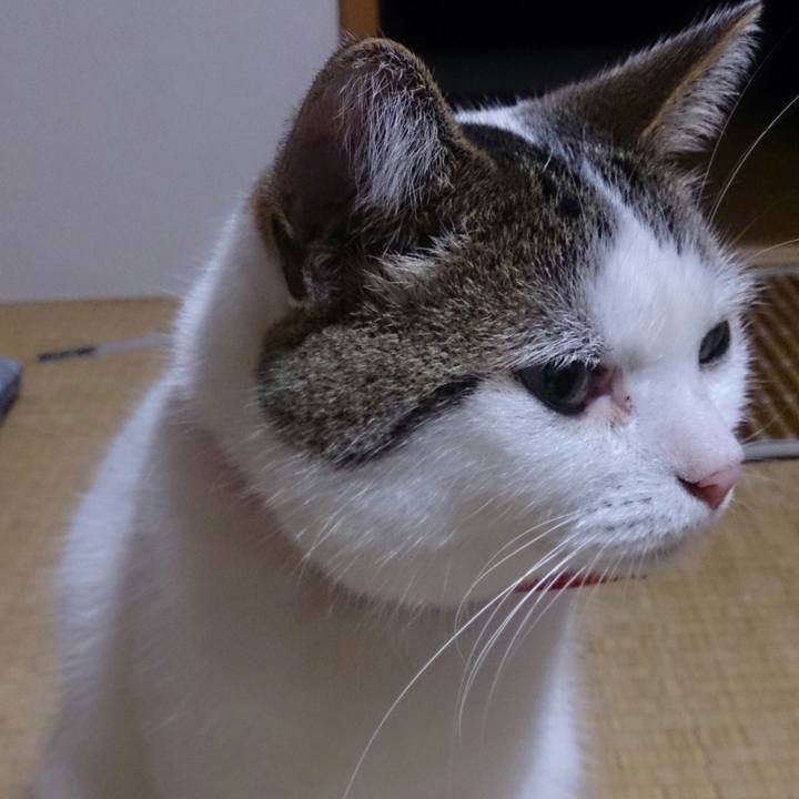 6f5ebaf0 71bd 46ea a405 b9a87435d49b