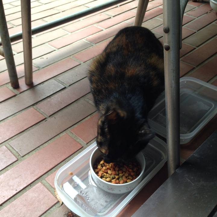 6f5f1619 7934 4f38 84ef 01b944ff09c7