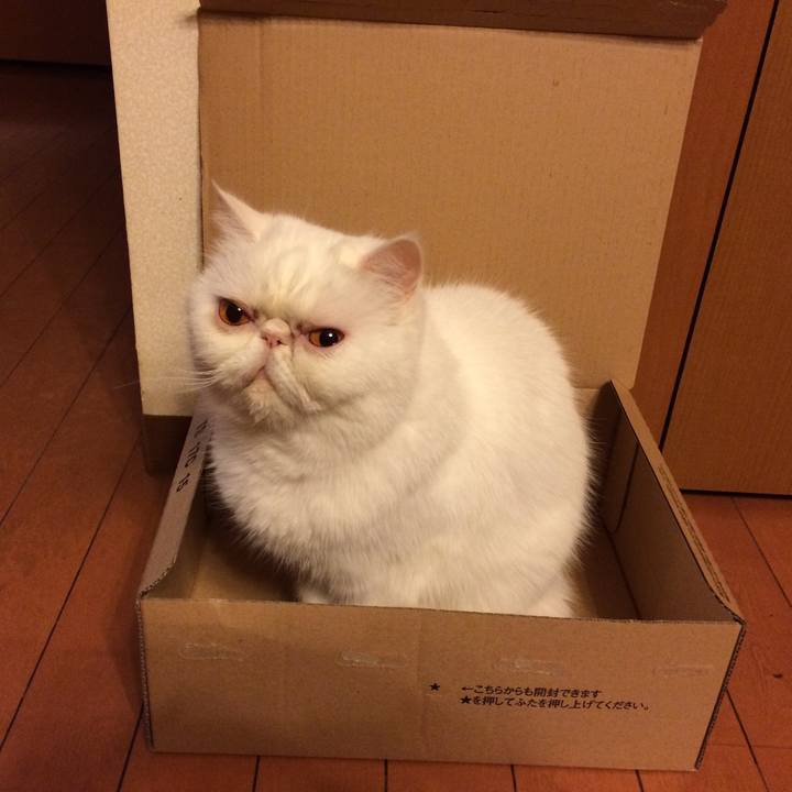 6f5f7ef4 1c6e 40da b332 6e27b45df745