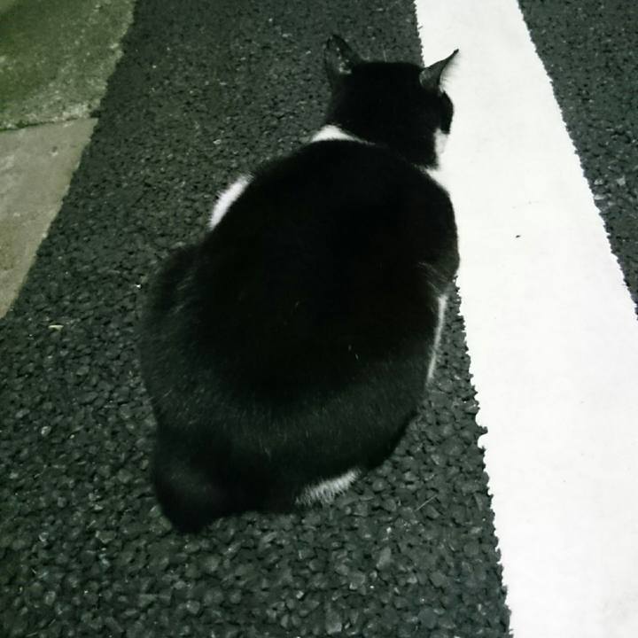 6f5f919b 7404 4896 9ba9 a90a38fe2ee0