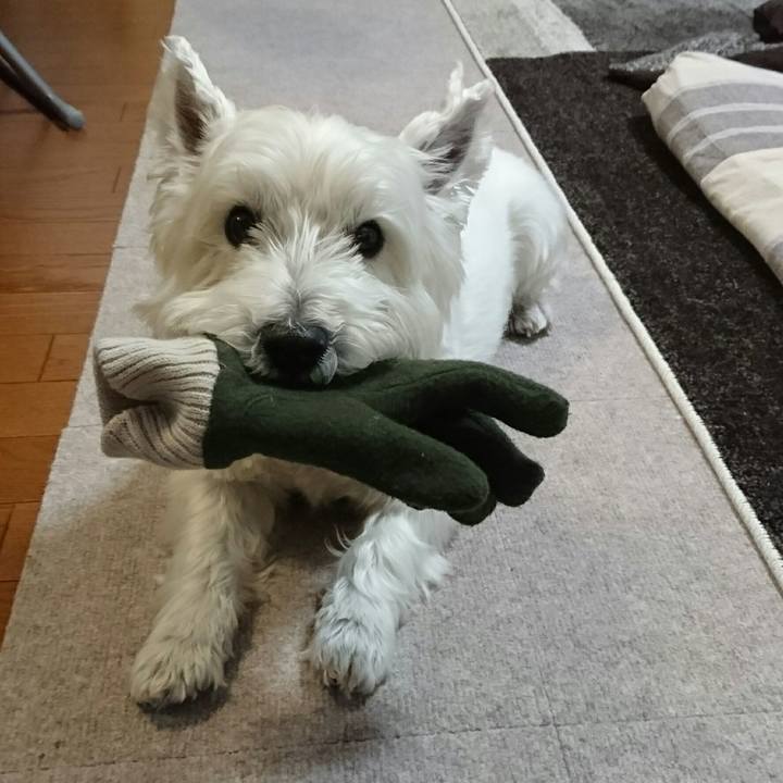 6f5ff20f bb06 4c8f b87f 4853920f68cf