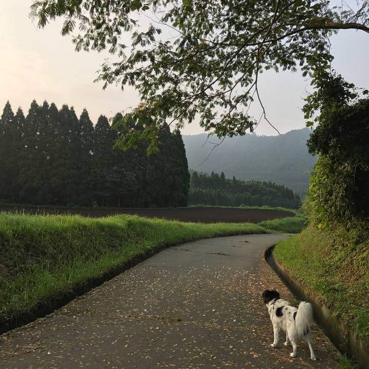 6f5ffc20 2c17 4446 8a04 b7e53acc8a50