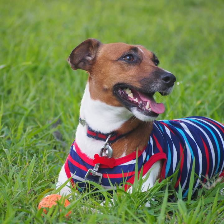 6f603ede 6221 4b36 9f03 256e3651cd6e