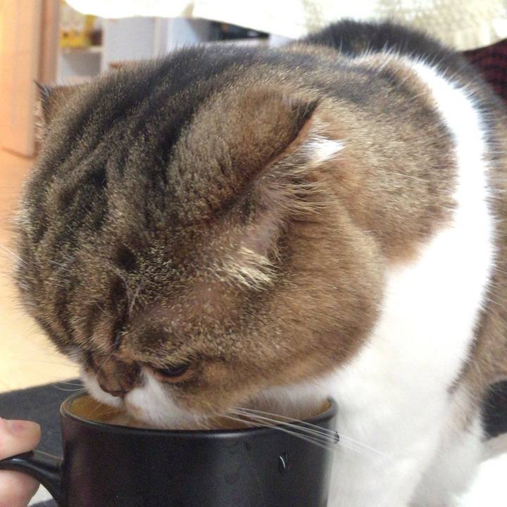 6f6188b1 162b 4dbd a604 2ea58299e80e