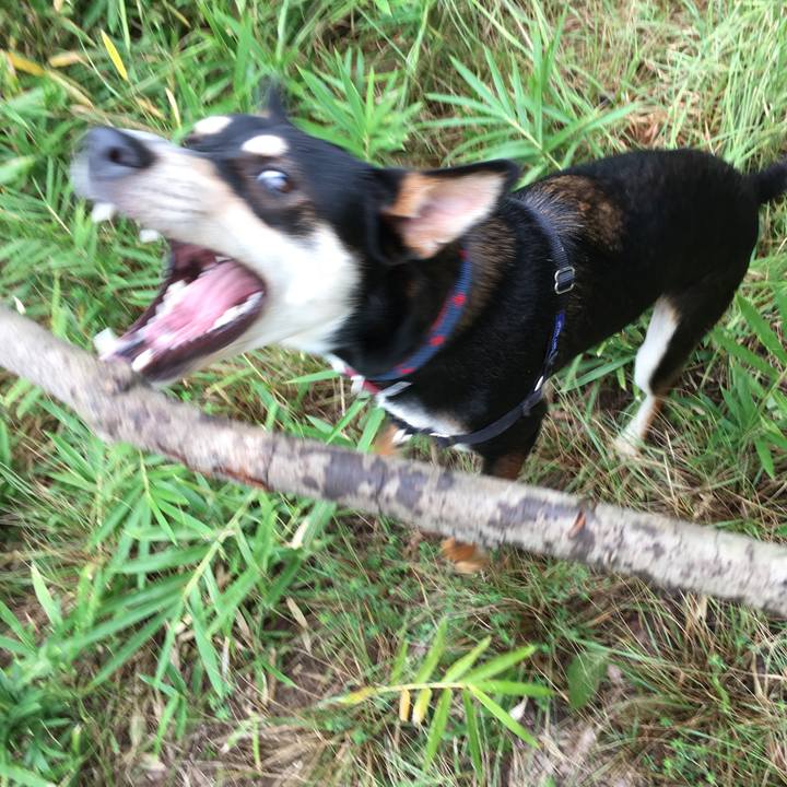 6f618c34 c380 484a 8b3d 41ed666a7d73