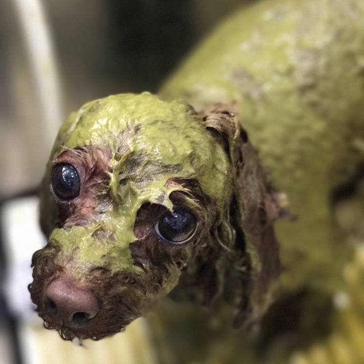 6f6222b0 2edb 4d48 a9c0 acdb1f079dd7