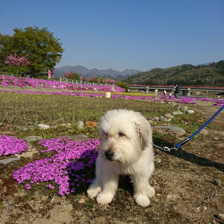 6f622f6c 8ad6 41d9 9a2b 9a7a6781e725