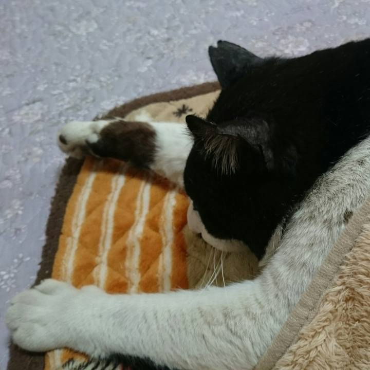 6f6298b7 3fbd 4b80 9e57 561b591ed6b1