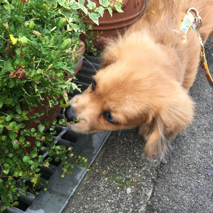 6f62eb38 c0c5 4842 bc73 ce787827a513