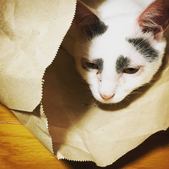 6f630e4d 507c 401b 95dd 236f9808a0d2