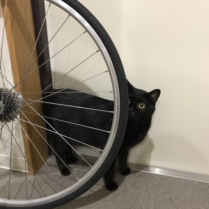 6f659155 0f94 4182 b1f4 c7a519db3729