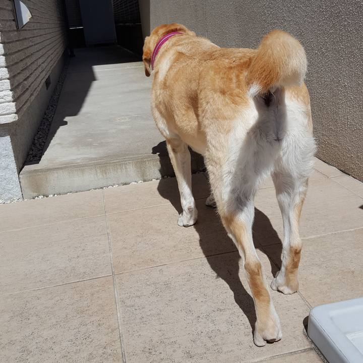 6f663431 f3b1 4a29 954b ad4d1d45fee0