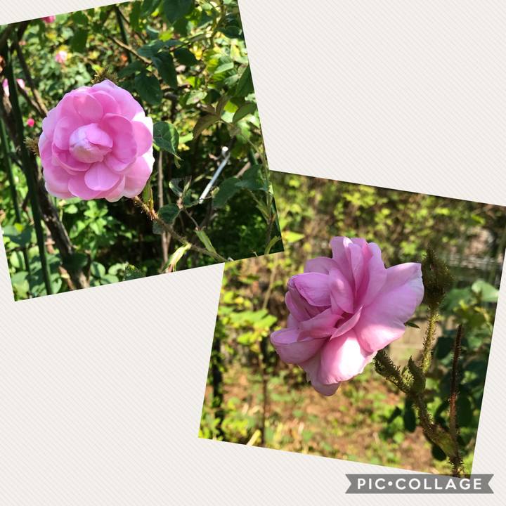 6f67010a 579f 4621 861b 23fa153d68fe