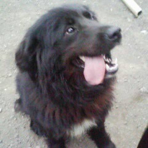 6f679ff1 2b87 40d4 aeab 24fcbf3a3d38