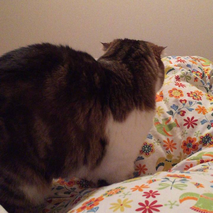 6f68245b 1a7a 43bd adea d1daa3bc3c16