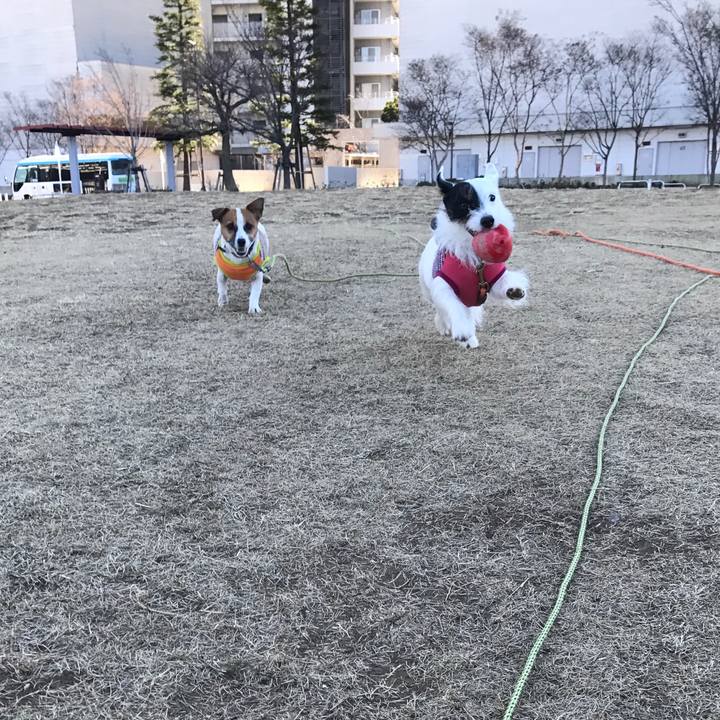 6f685f96 dbb9 41b0 b2c6 cddb83b60588