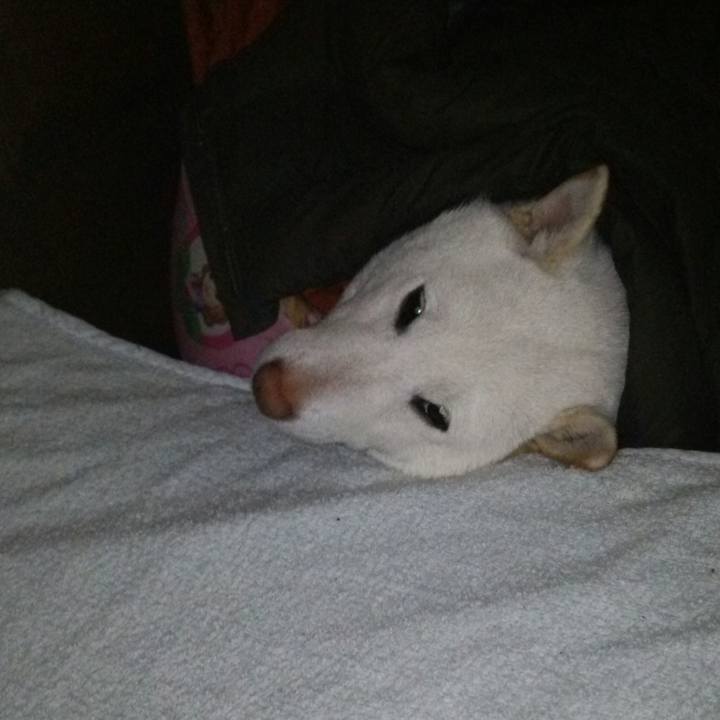 6f690d82 eca5 41d3 a4b9 5334e3fdfe1c