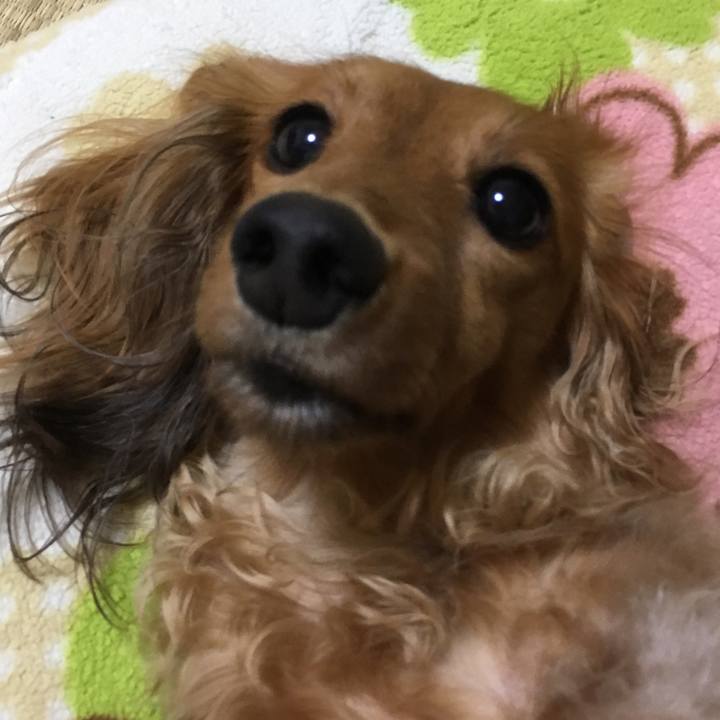 6f69466c f3c6 440d a787 f97747fdfe80