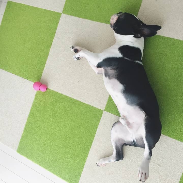 6f697e50 7c98 4c4b aff2 05351250a9f9