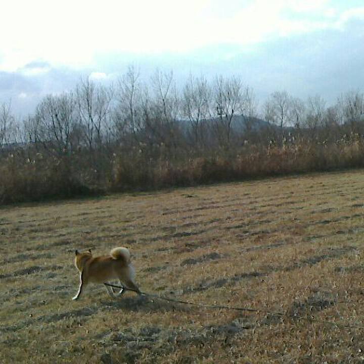 6f6abdd4 5253 4edb a6a8 75a2ca9d23c0