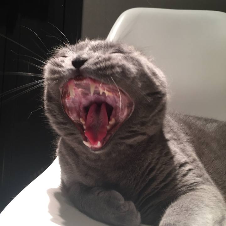 6f6b9875 7077 4053 ac0d afdf93d54d90