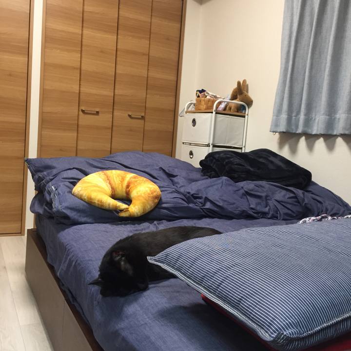 6f6c4c6d e989 4611 b452 0cafdb7c7d91