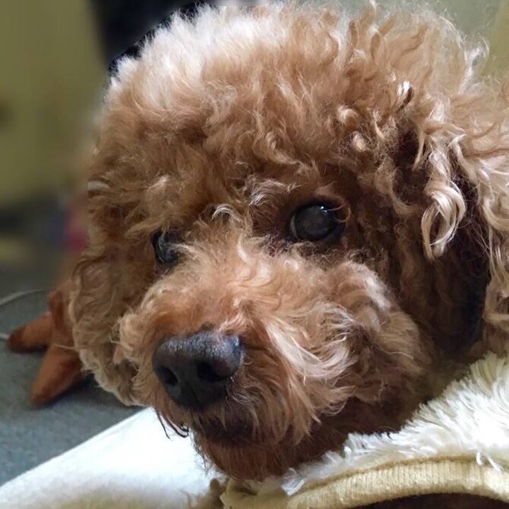 6f6cc33b 3a2f 44f0 895f 0c5b4bed9c90