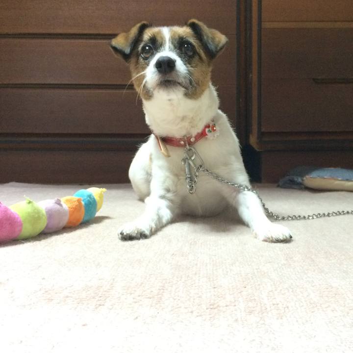 6f6cf68d 7c31 4c46 b7ea e8d446b96009