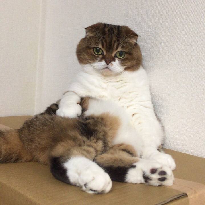 6f6db2c5 035d 4085 8c18 b259908cdf78