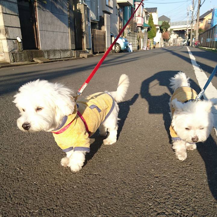 6f6dfa05 4c20 487b 8005 887c598bb6b6