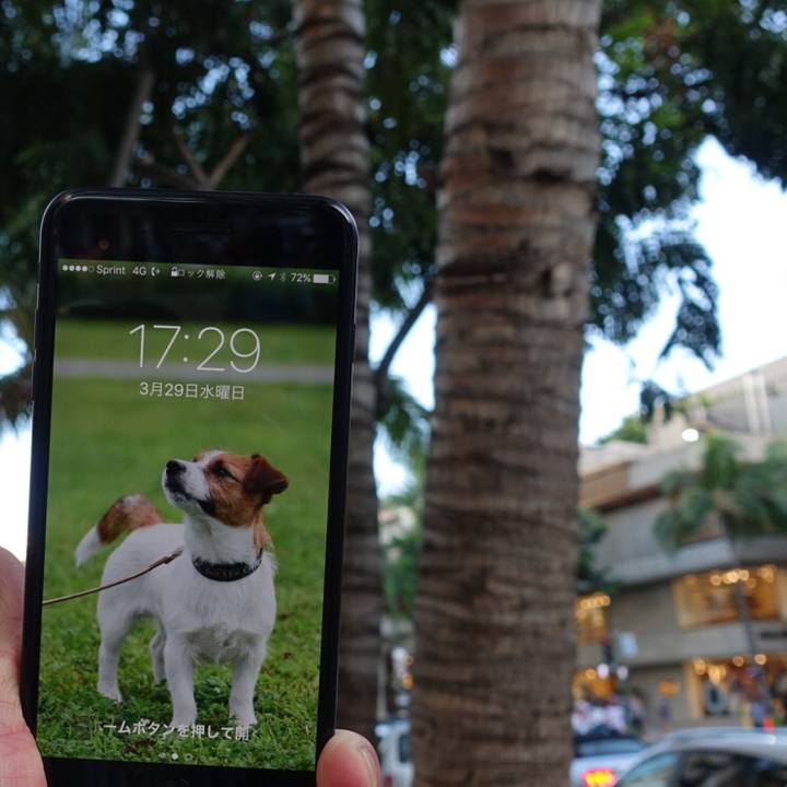 6f6e7968 20eb 4158 9ff8 23bd371be281