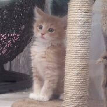 6f6f15bd 2d72 4bd1 926d 3bf709f51b54