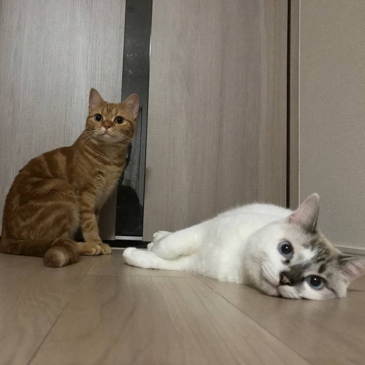 6f701692 5801 48d4 9880 b99f55acc8f4