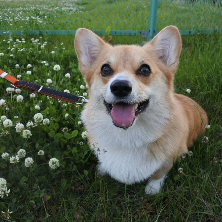 6f7083d9 053b 4458 8060 3929682e1543