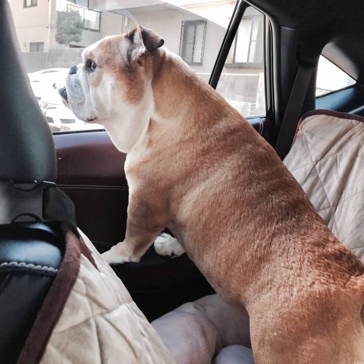 6f7192d9 d901 4c62 a6ba d8ae7a0ce385