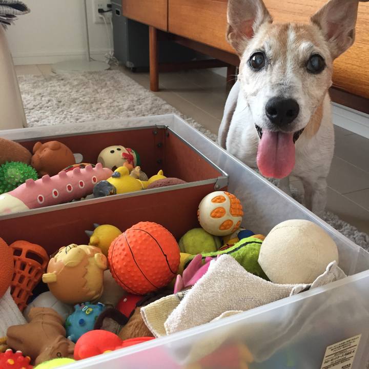 6f71cafd 9b04 4127 bb18 9f056a13cc7d