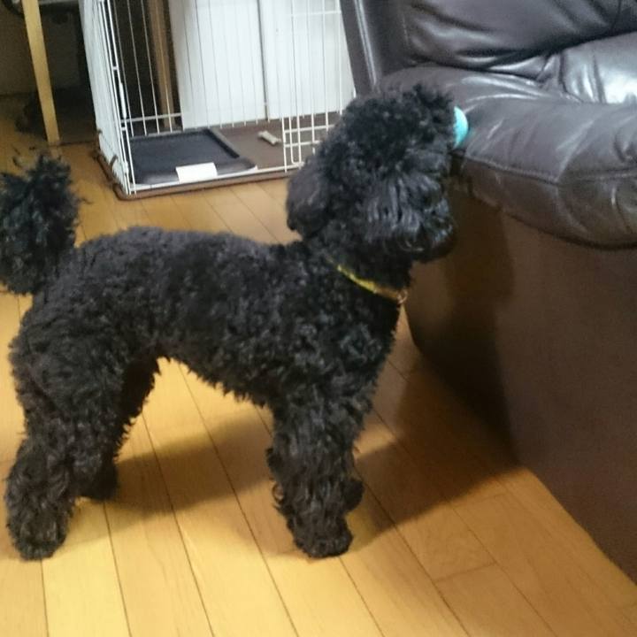 6f721172 721b 4486 ae21 703447b14d37