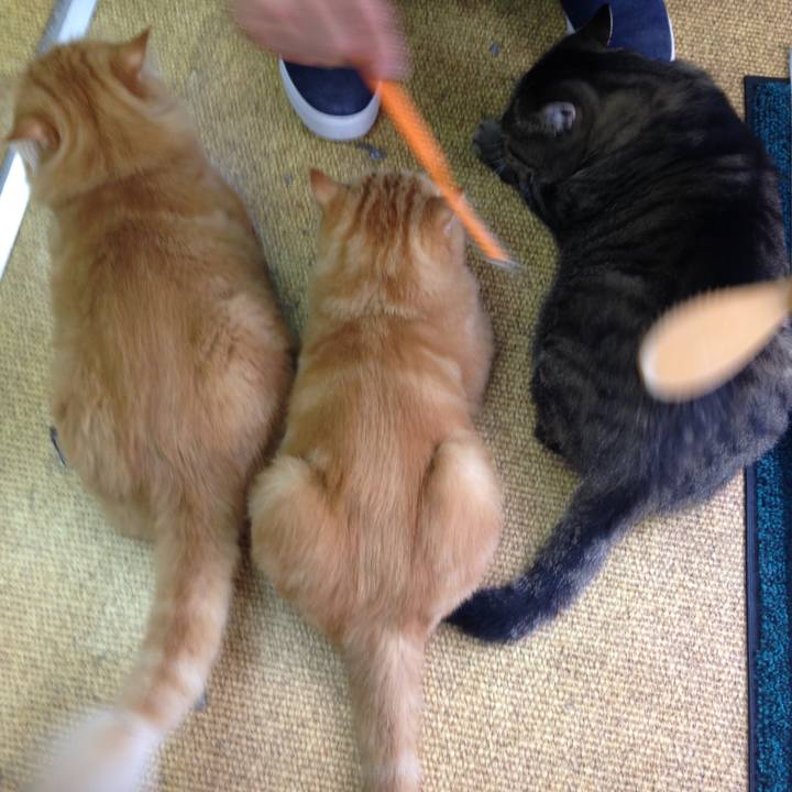 6f722faa 7e71 4012 a15f 7b692ac39e45