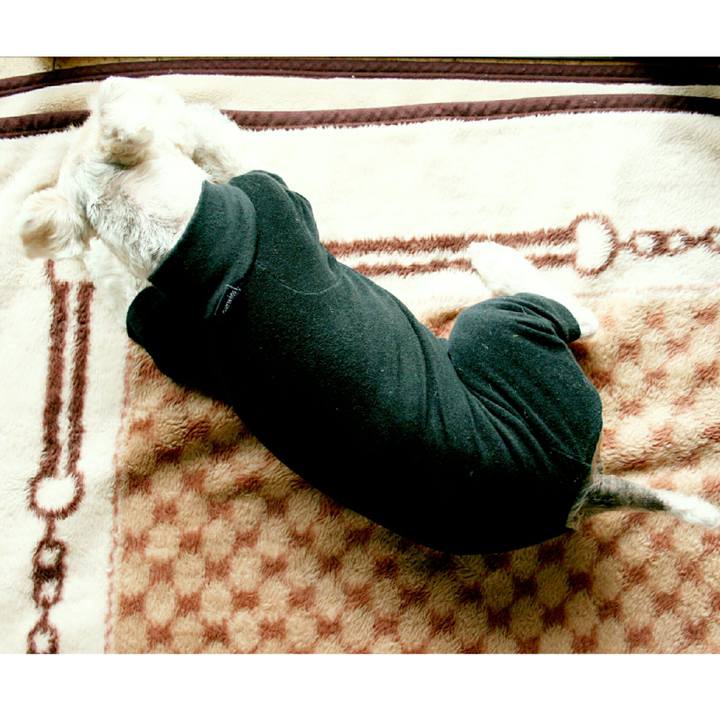 6f72c2cc c2f9 42da a9d9 ec2ec4d894f6