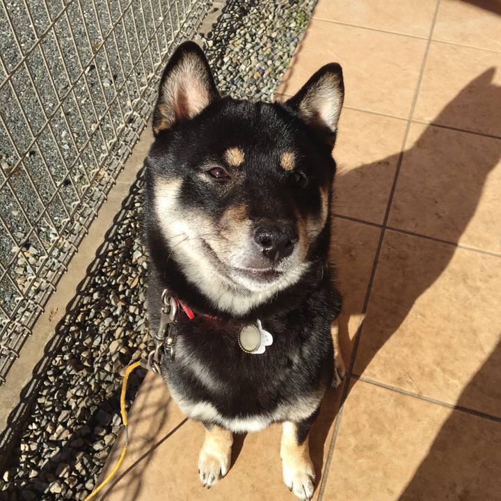 6f72cf63 7d21 4116 b4ce ec3f409ed666