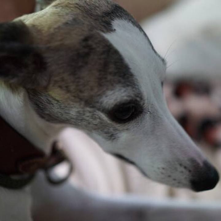 6f730044 241e 42a1 9e38 d2ef4ffa9745