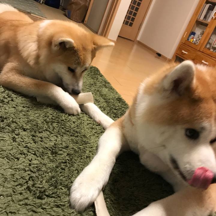 6f73097c 121a 4a93 9704 a7ff163c4dbb