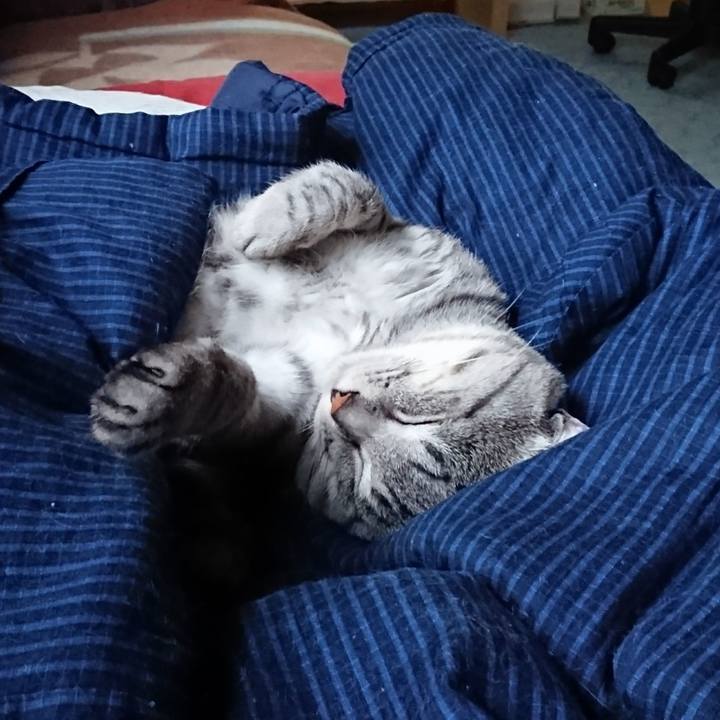 6f73127c 223c 4c35 92aa 526b054aa1f5