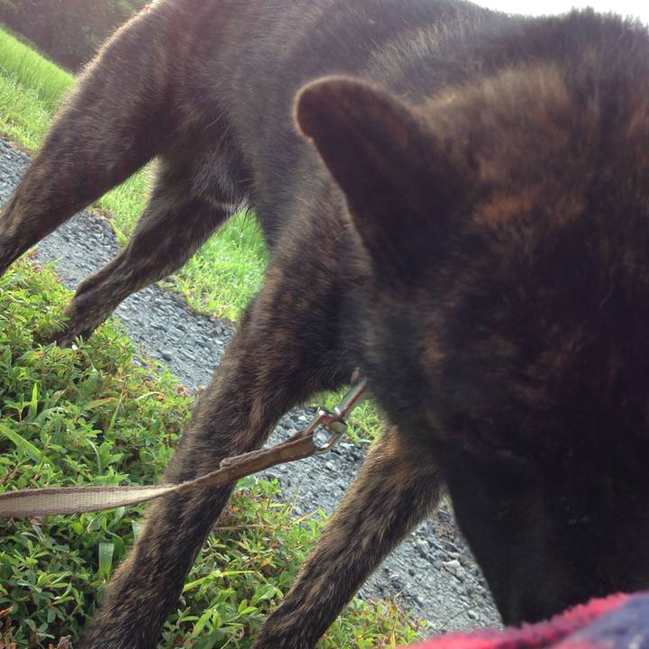 6f7343b1 f9af 468e 9249 0f169854de80